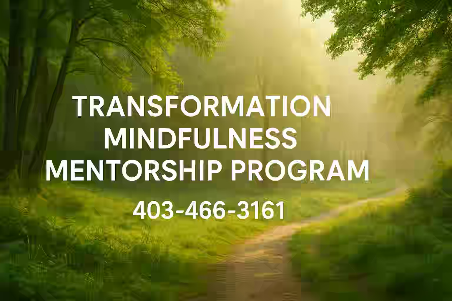 Transformation Mindfulness Mentorship Program